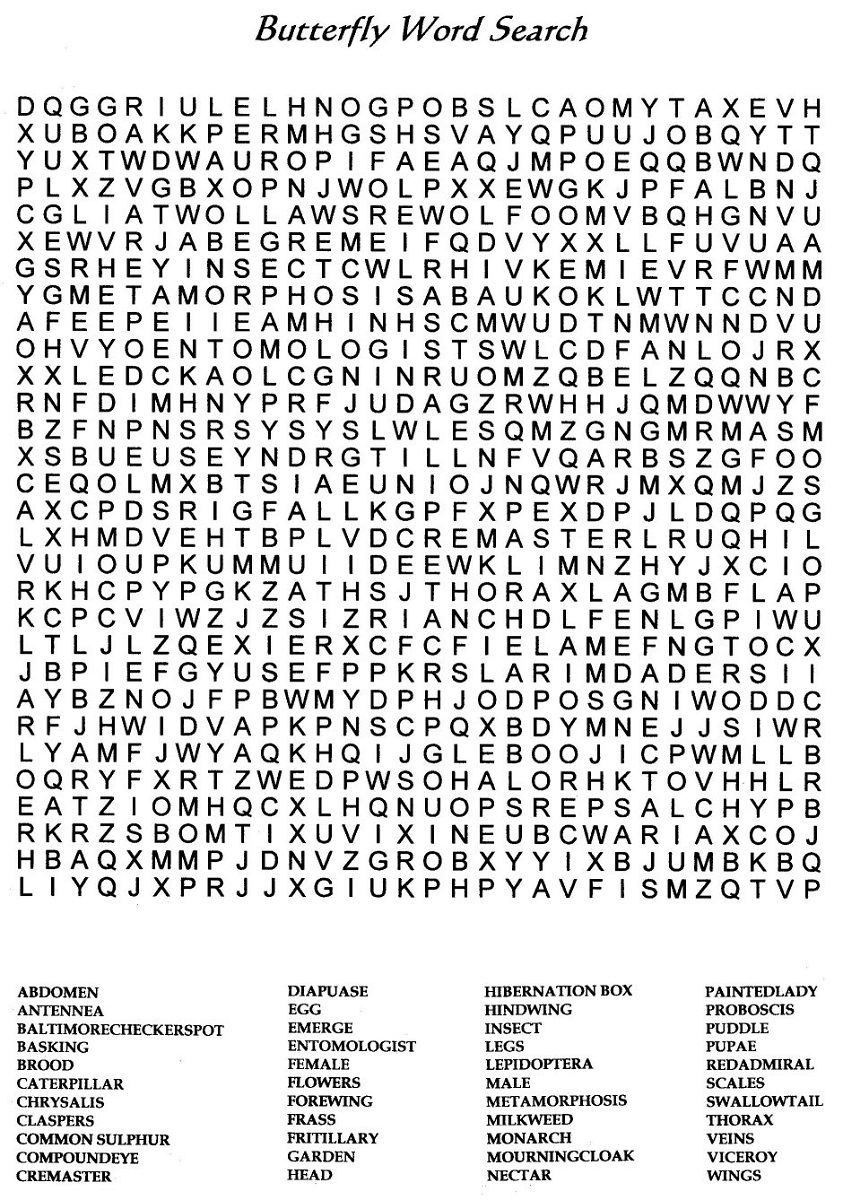 free word search worksheets butterfly