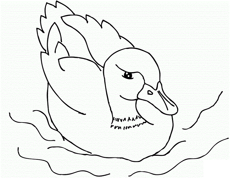 Free Coloring Pages for Toddlers Duck
