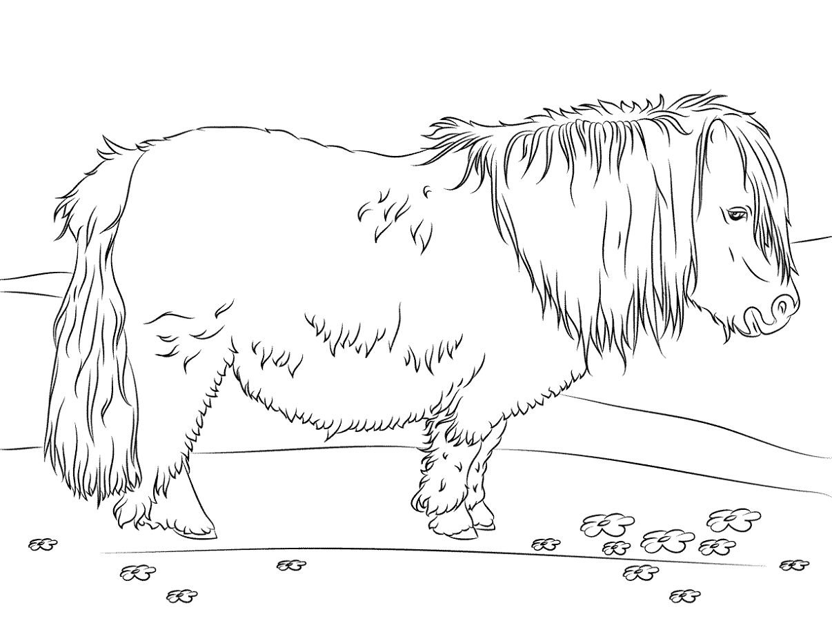 Pony Horse Coloring Pages