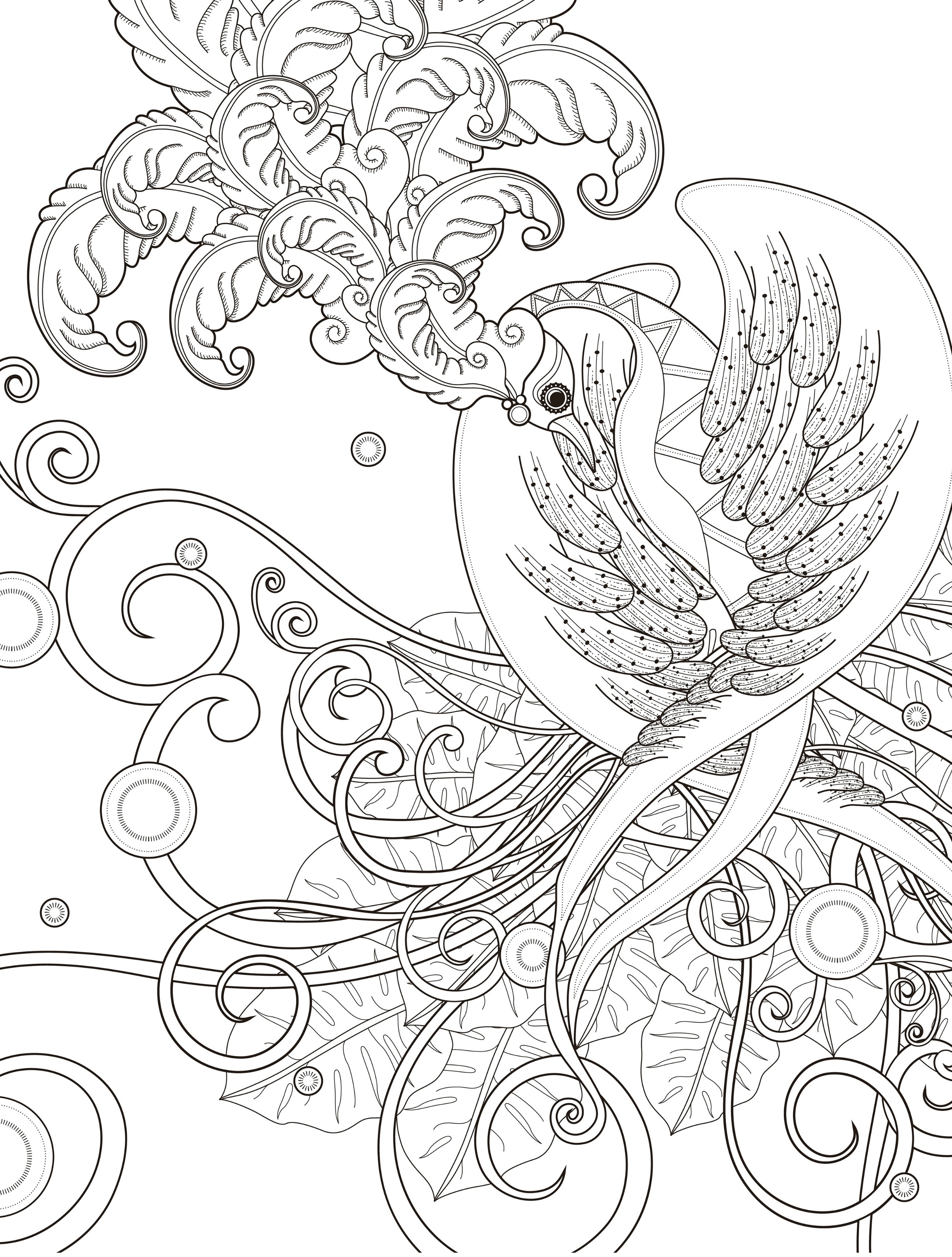 Adult Coloring Pages Bird