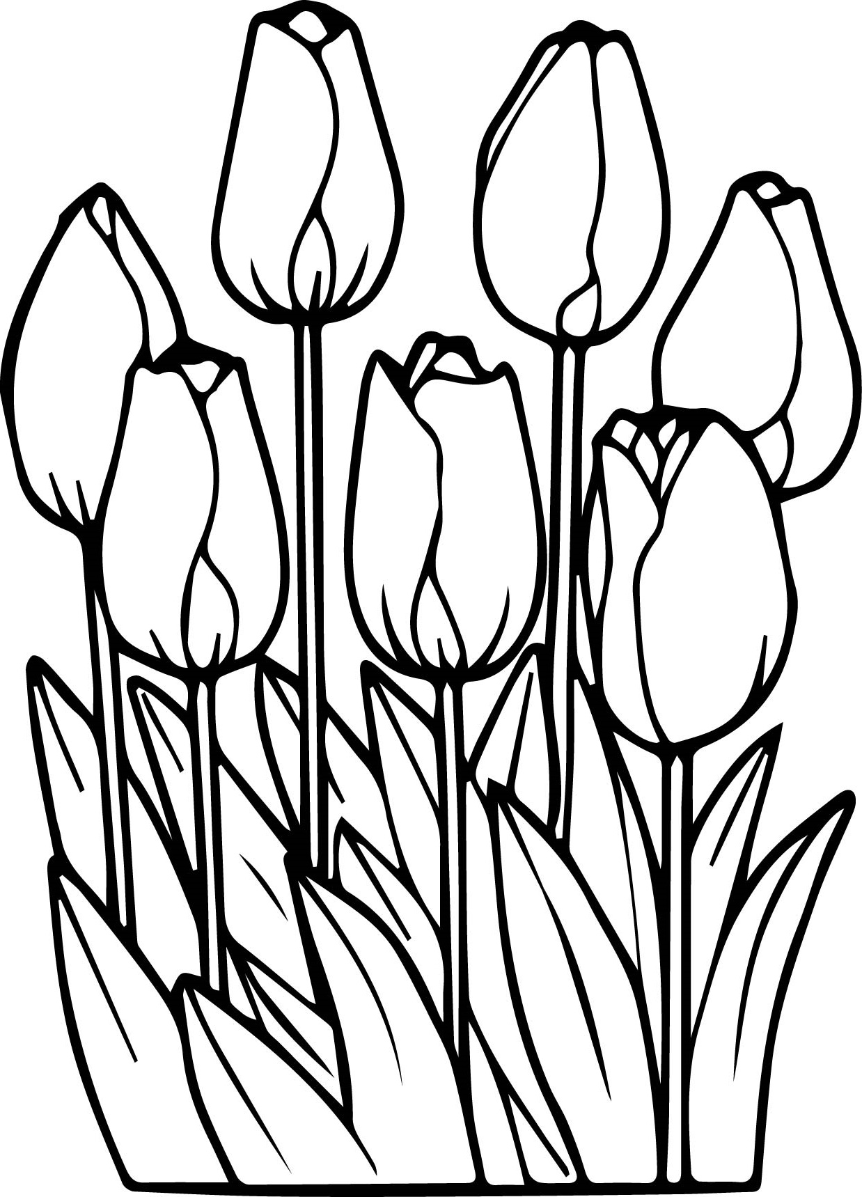 Flower Coloring Pages Tulips