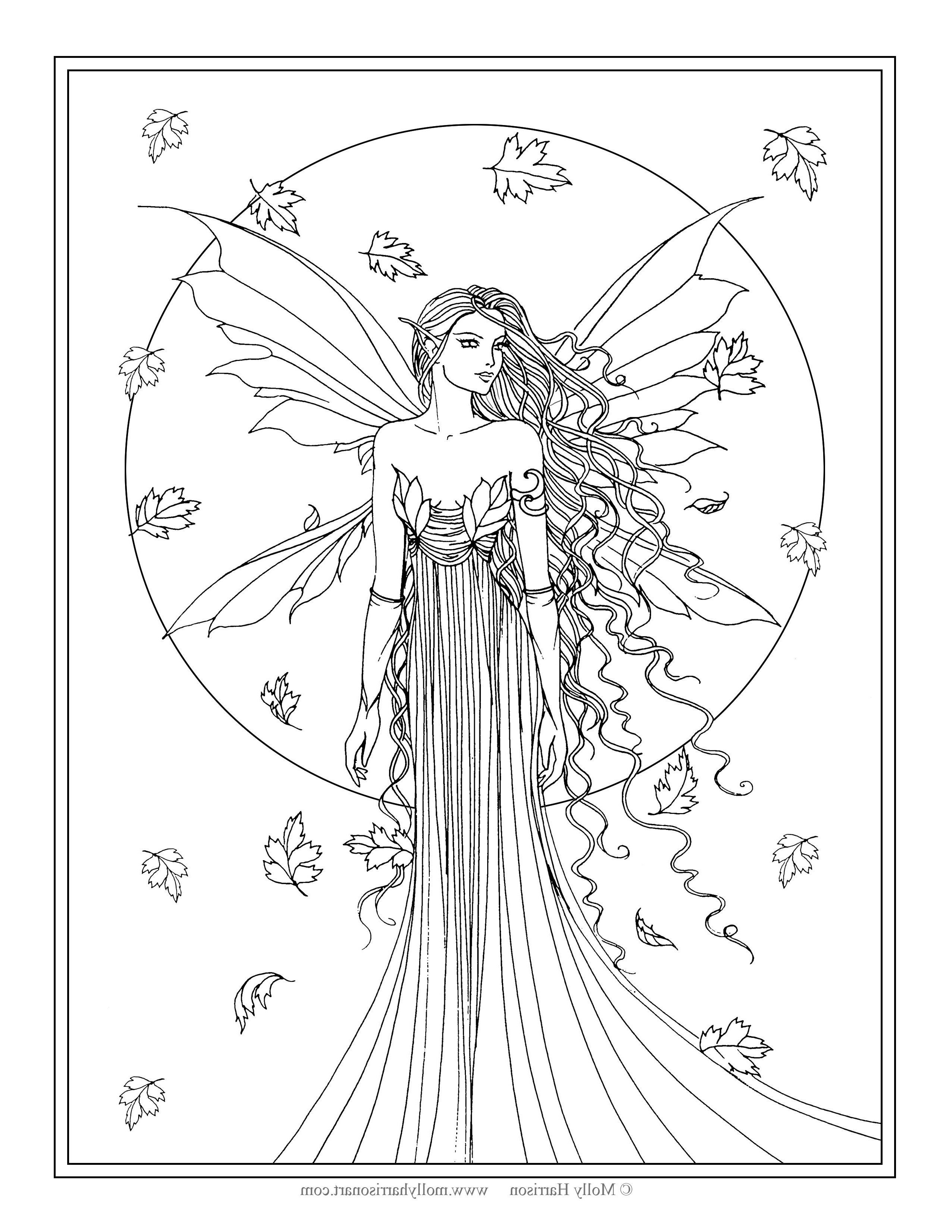 Adult Coloring Books Fairy