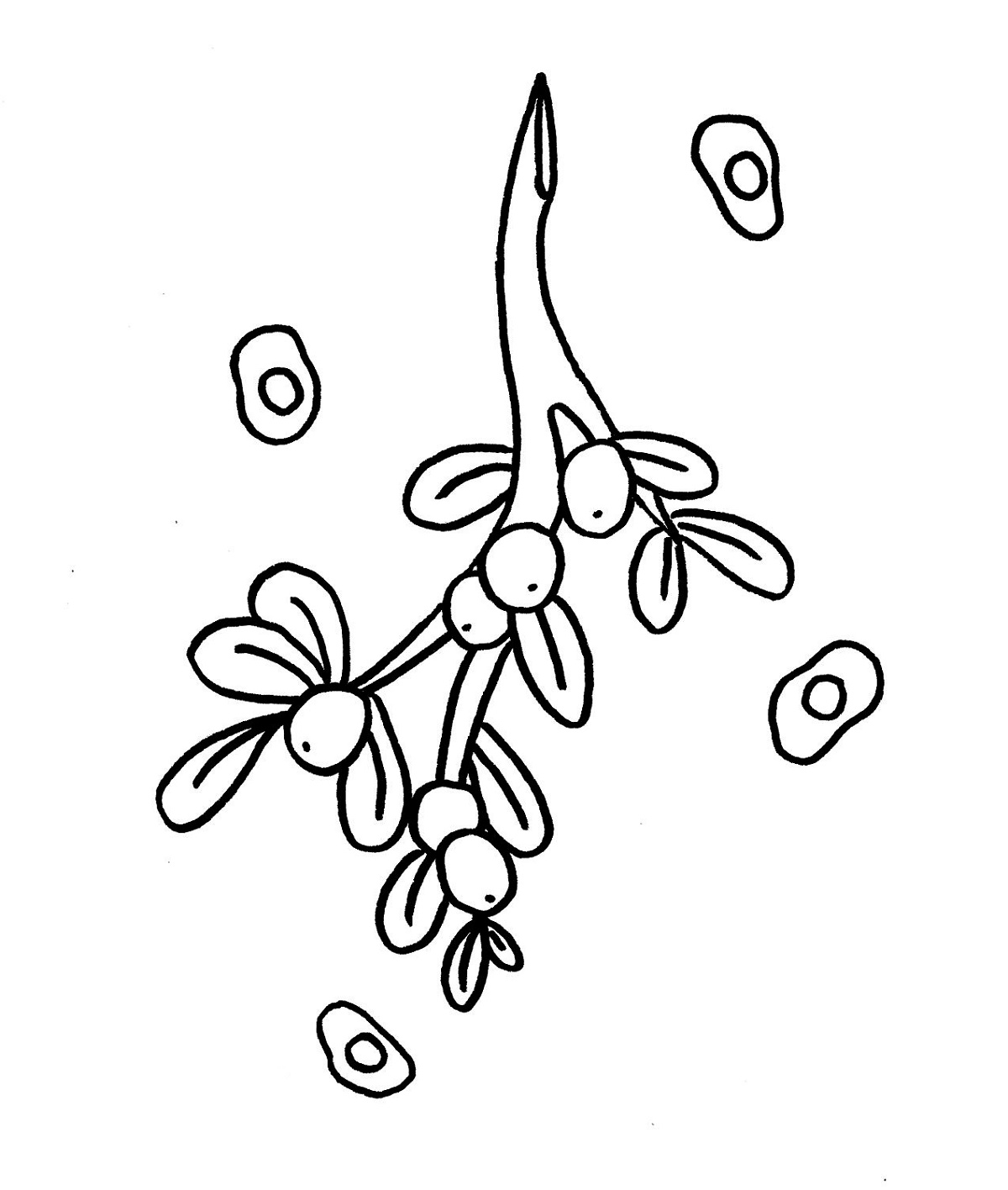 Mistletoe Coloring Pages Free
