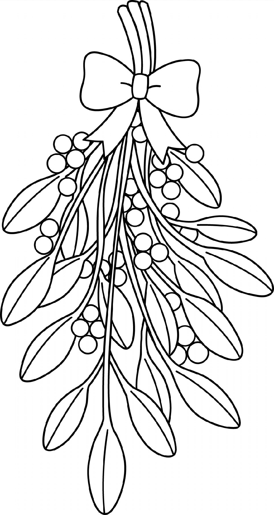Mistletoe Coloring Pages Line Art