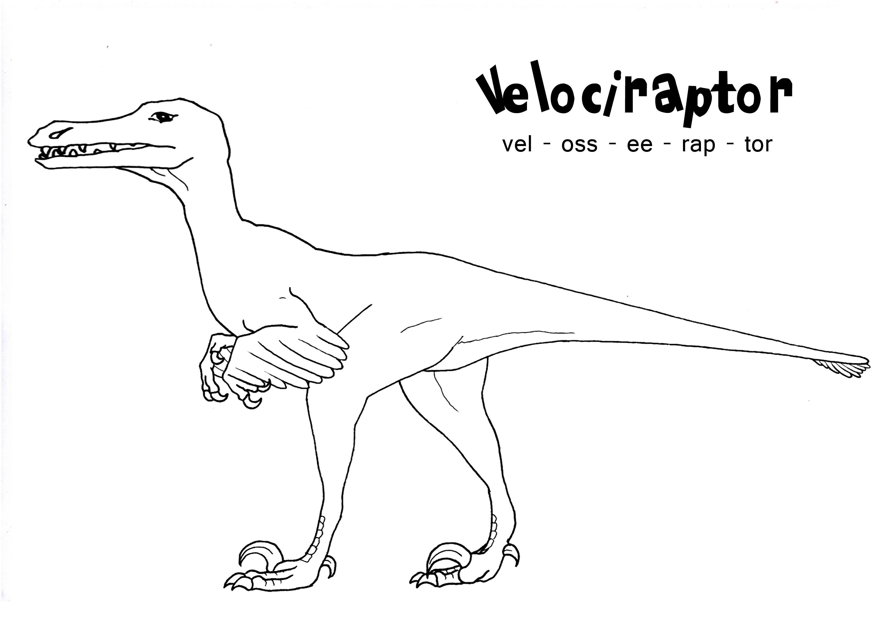 Dinosaur Coloring Velociraptor
