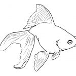 Drawing Sheets for Kids Fish
