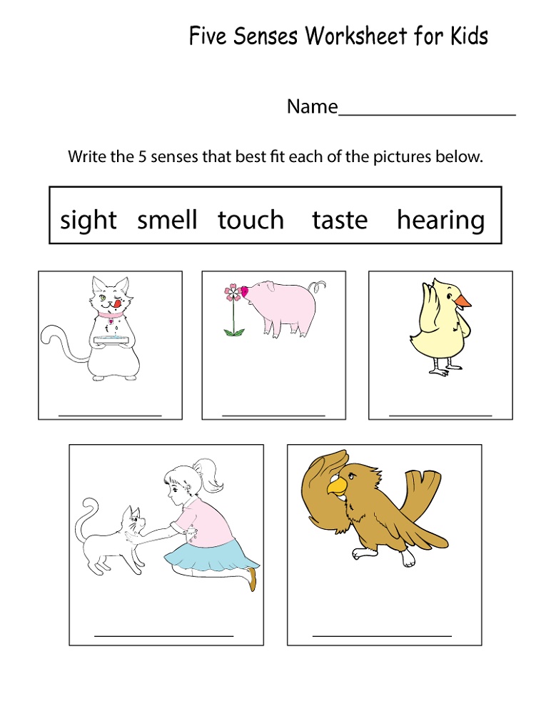 Free Worksheets To Print Science