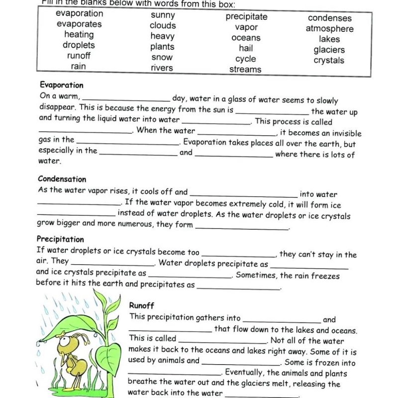 science worksheet 6th grade