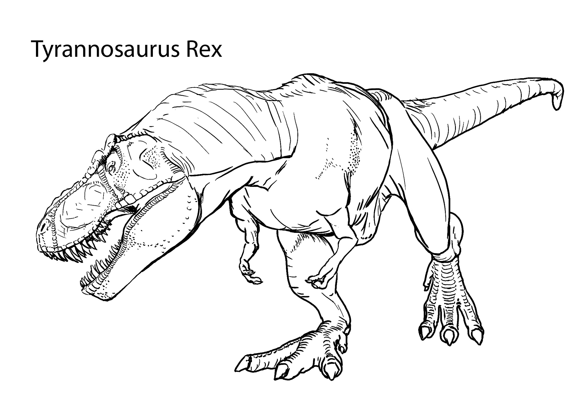 T Rex Coloring Page Realistic