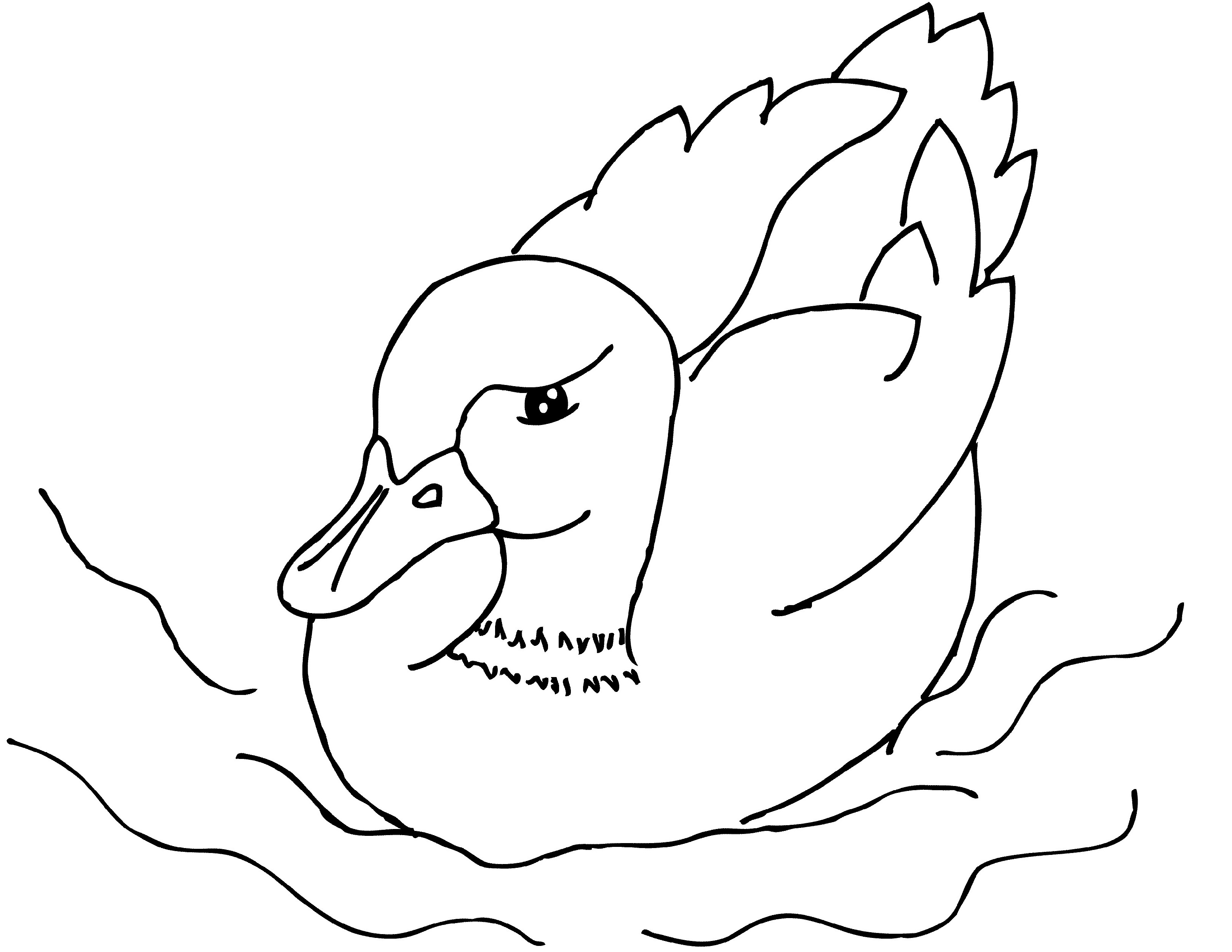 Rubber Duck Coloring Pages for All Ages K5 Worksheets