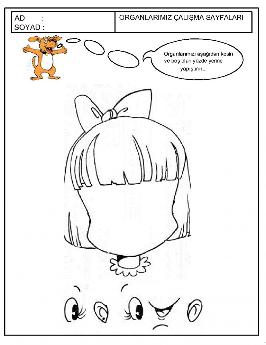 Diy Worksheets For Preschool