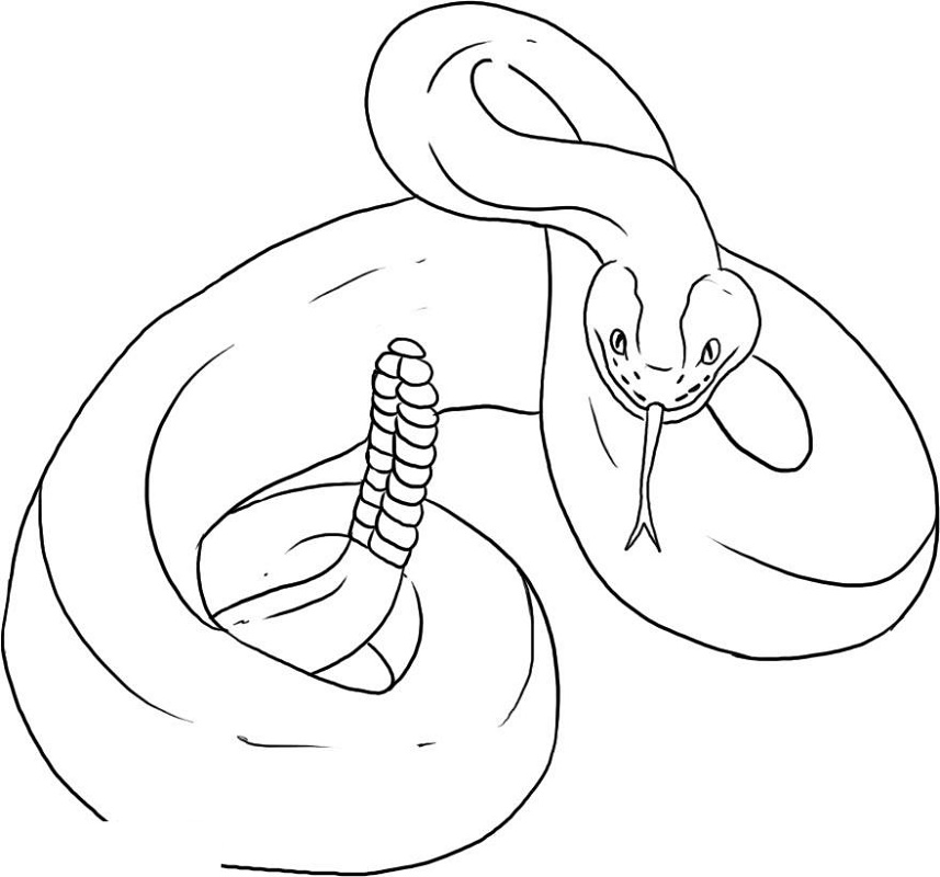 Rattlesnake Coloring Page To Print
