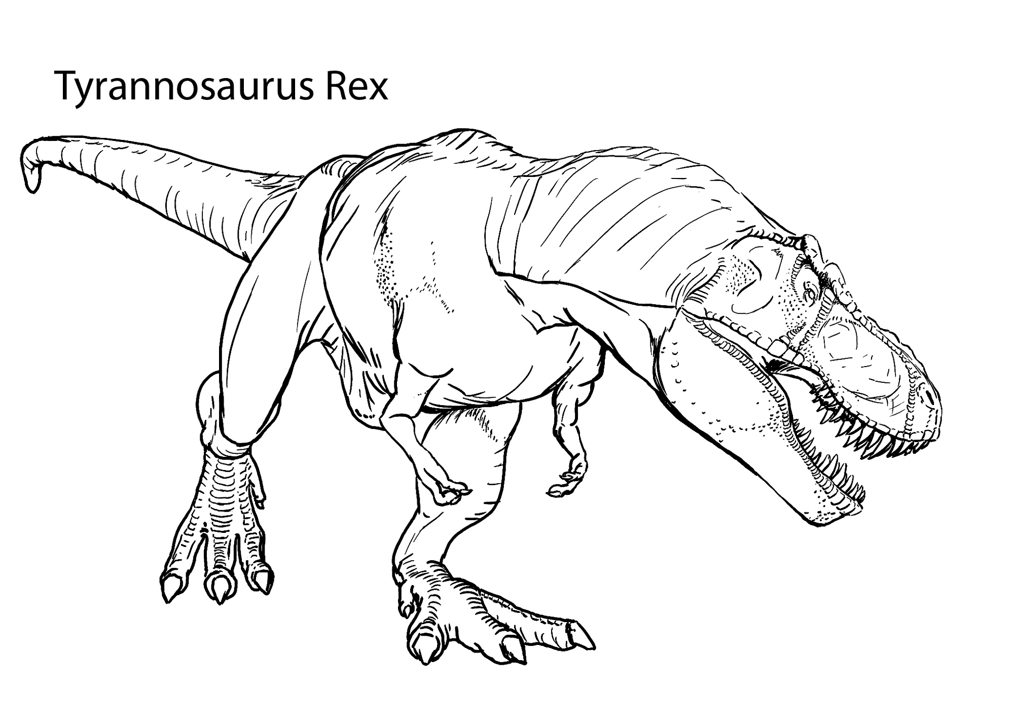 Tyrannosaurus Rex Coloring Page Realistic