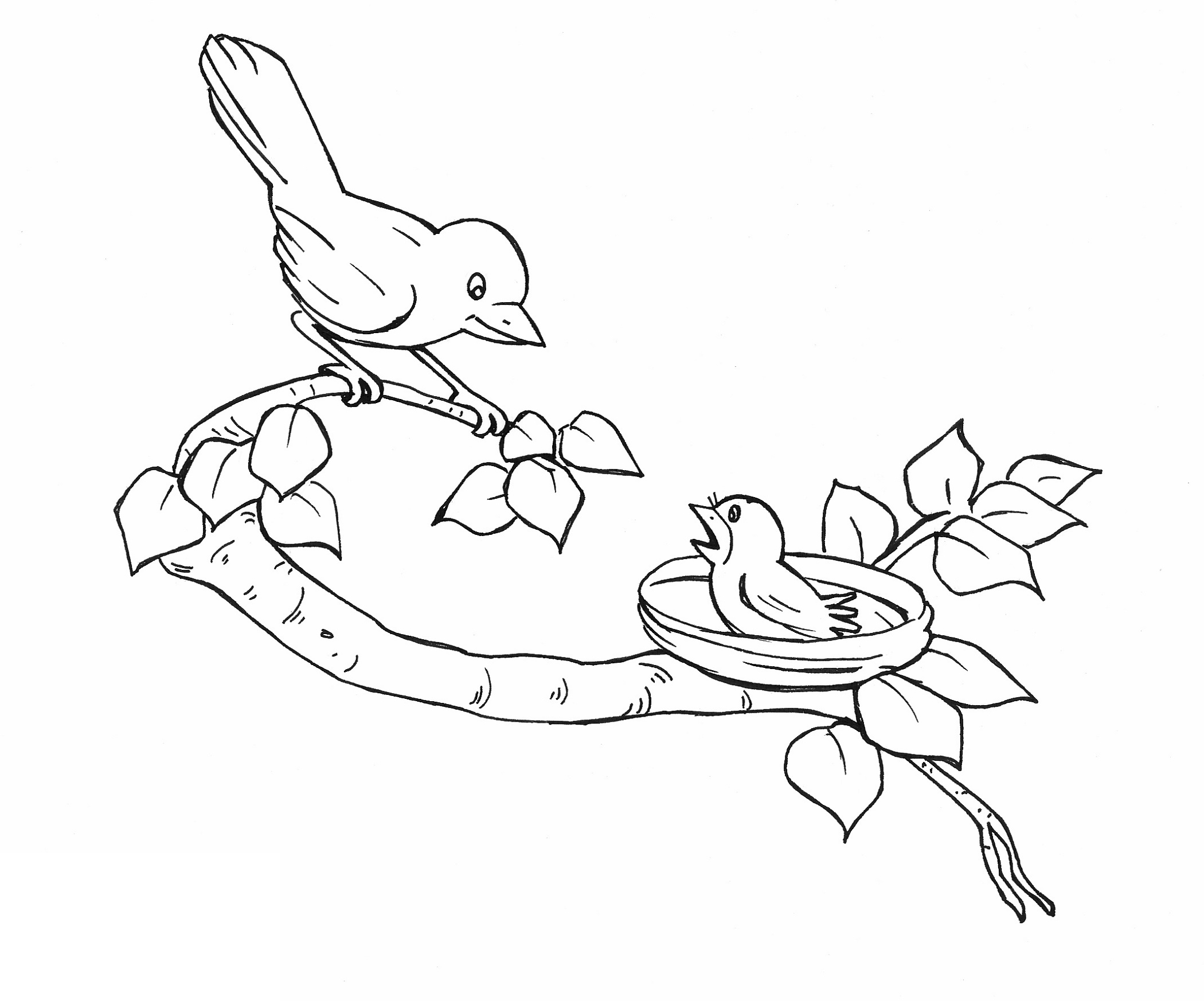 Bird Coloring Pages Mother And Baby