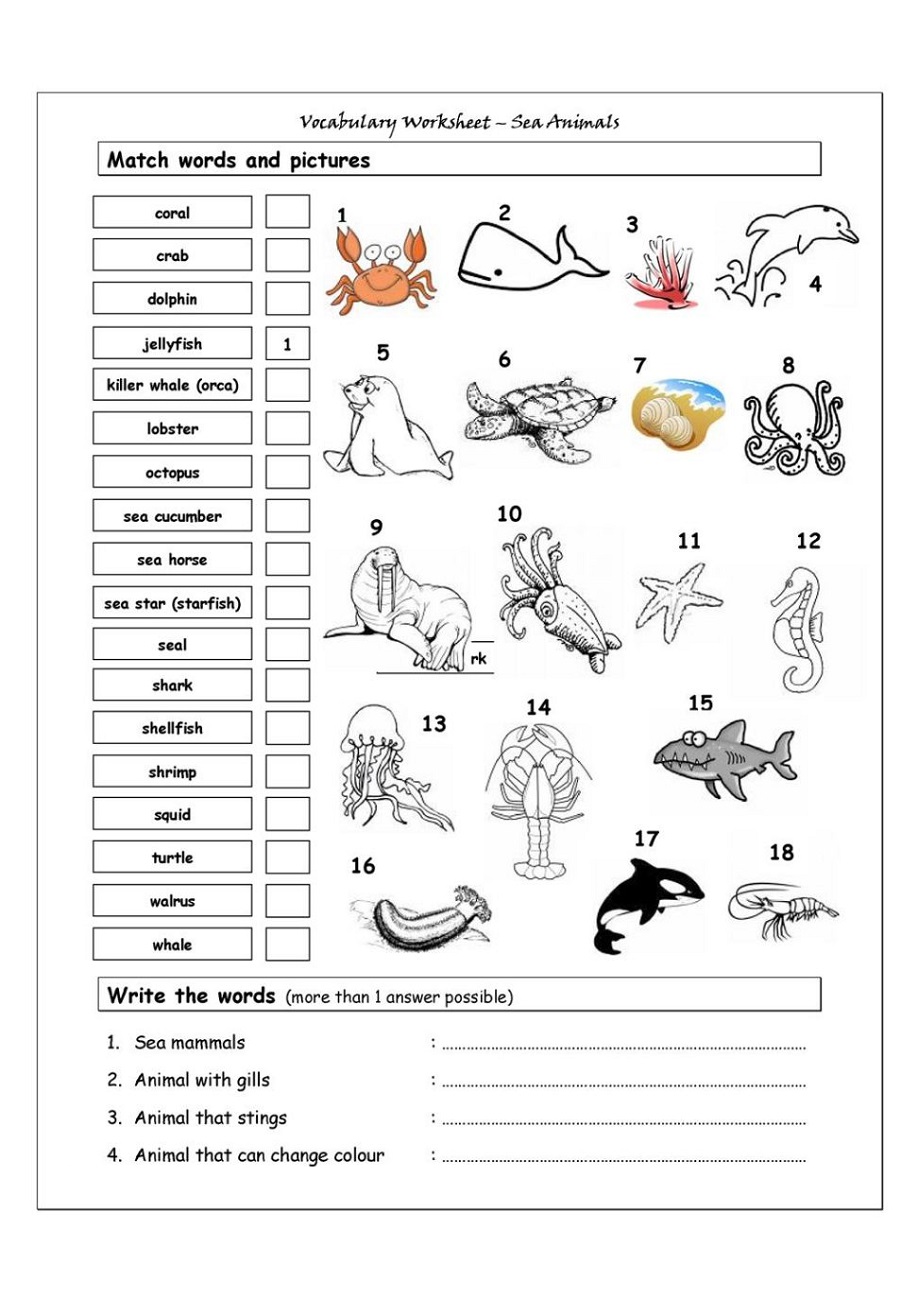 Play School Worksheets English