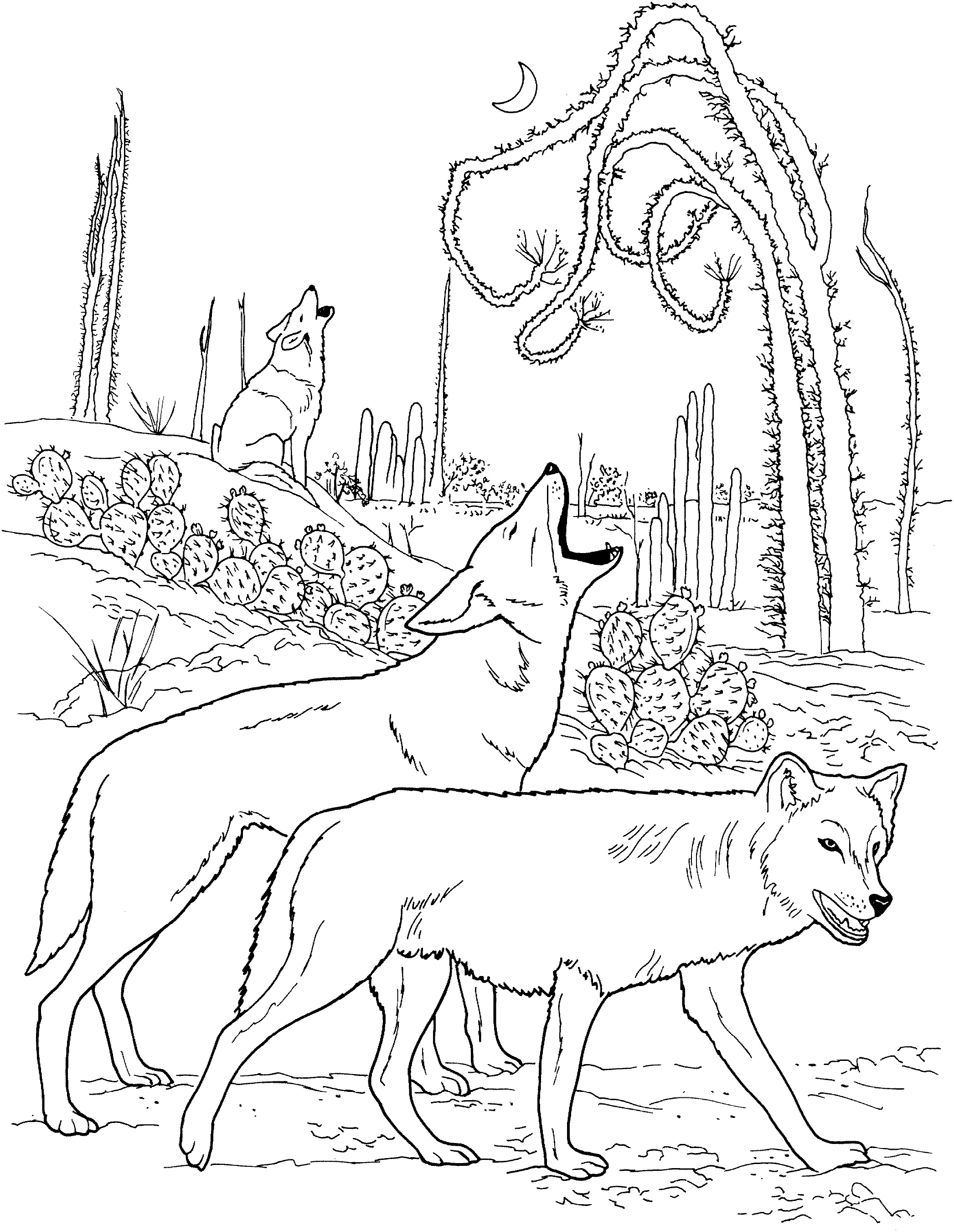 Wolf Coloring Pages To Print
