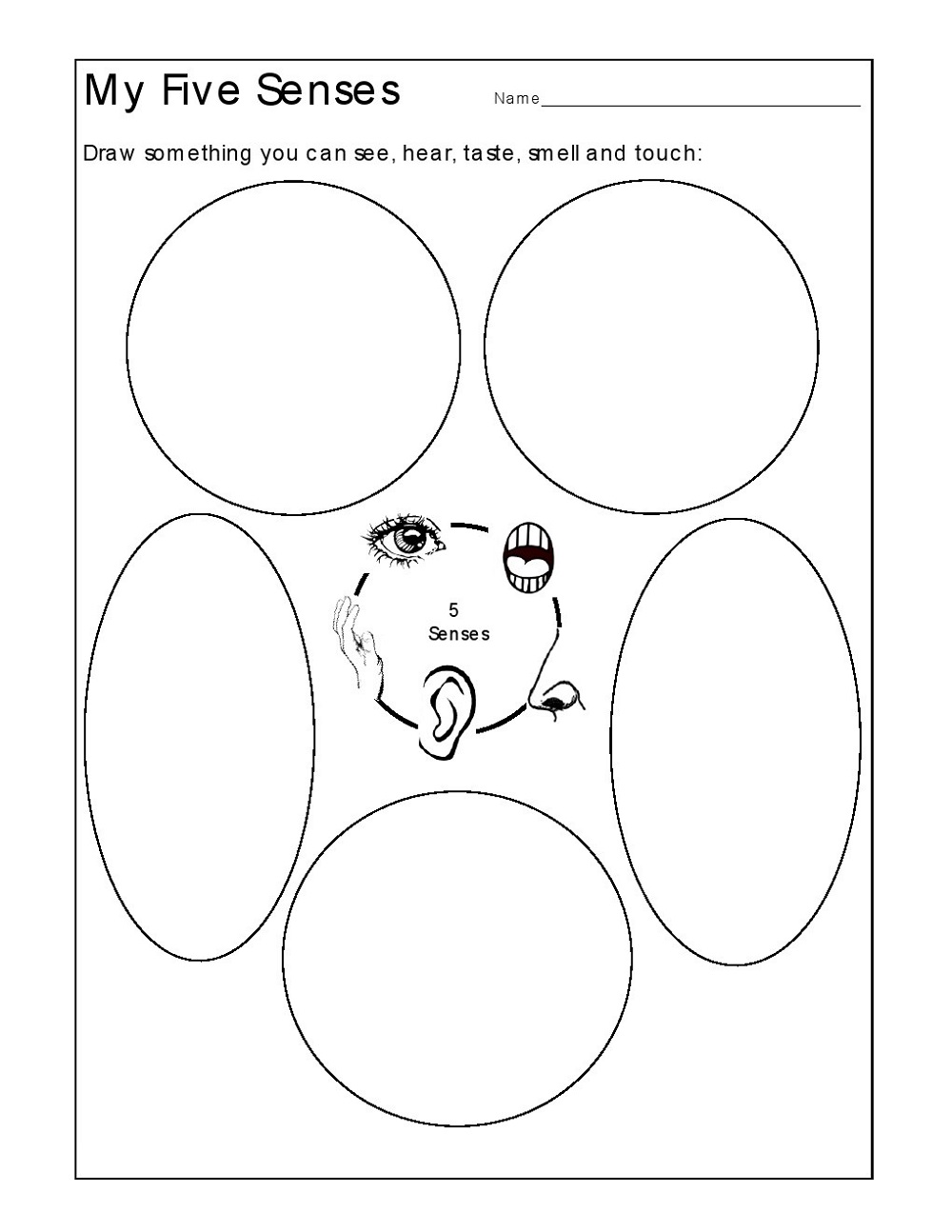 Educational Worksheets For 5 Year Olds Five Senses