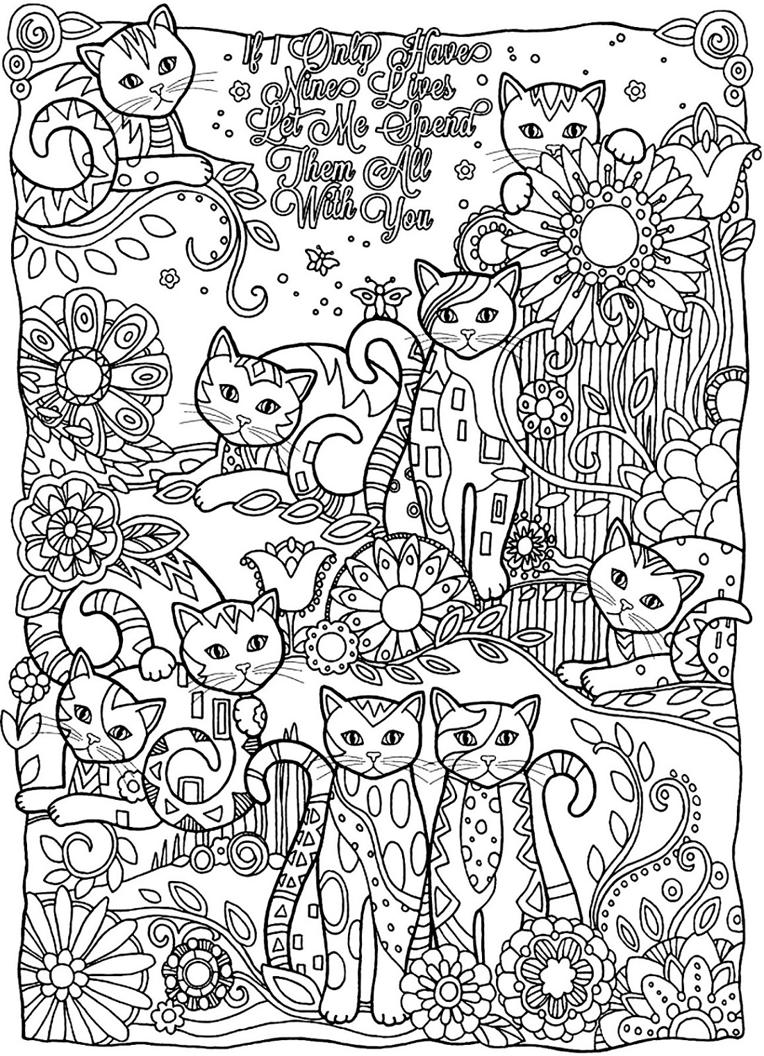 Cat Coloring Book For Adults