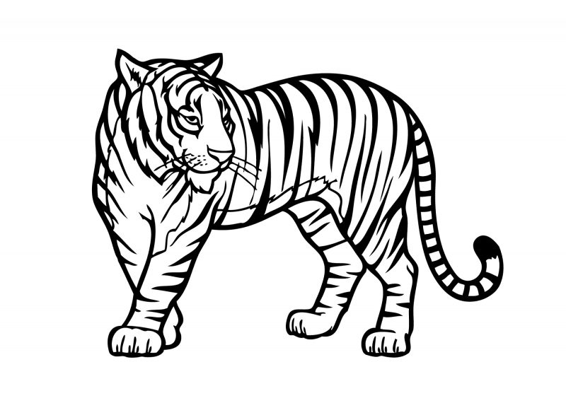 Coloring Pictures Of Animals Jungle for Fans | K5 Worksheets