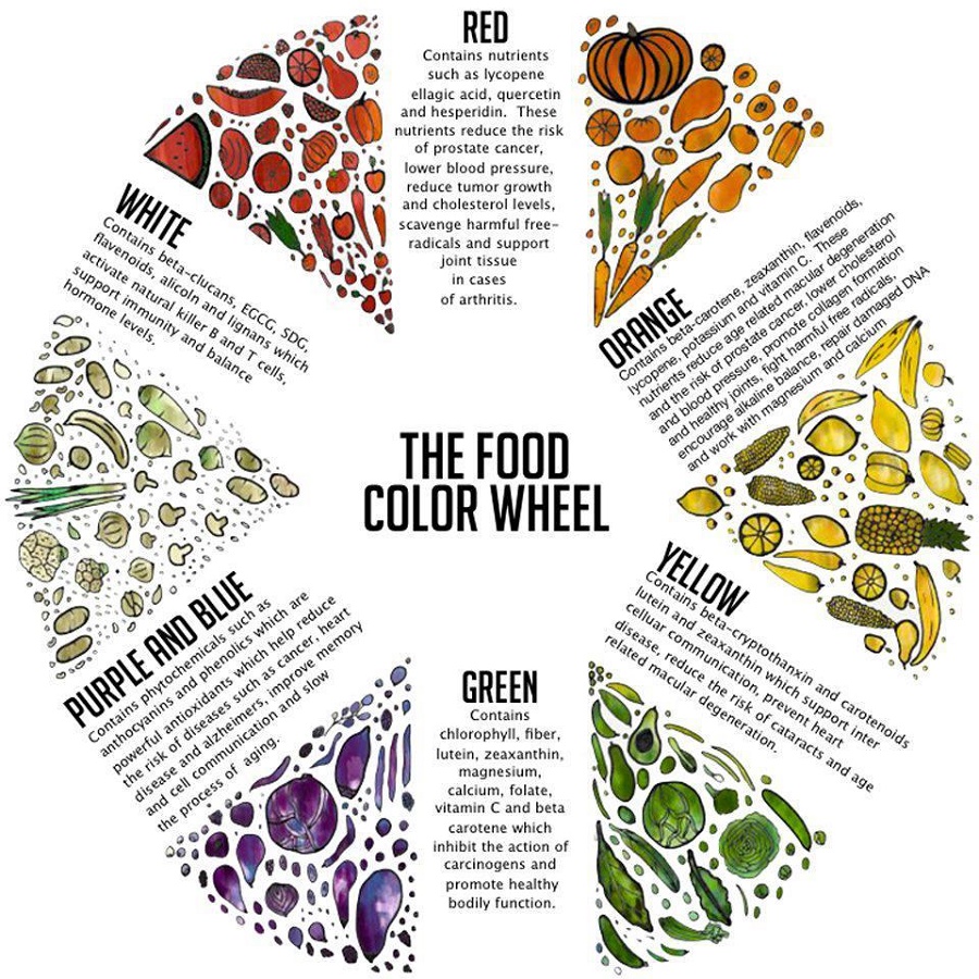 Food Coloring Chart Wheel