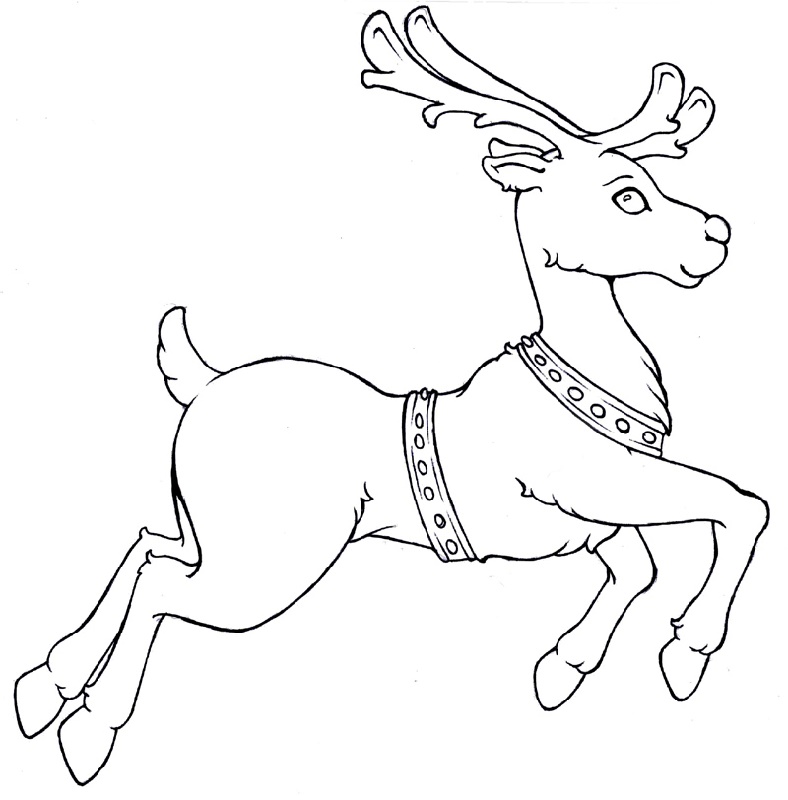 Caribou Reindeer Coloring Pagesa K5 Worksheets